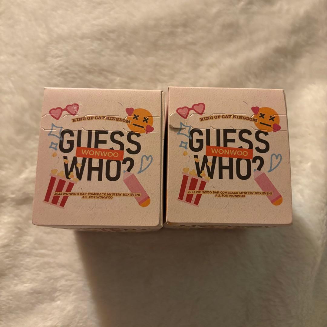 ウォヌ マスター フィギュア