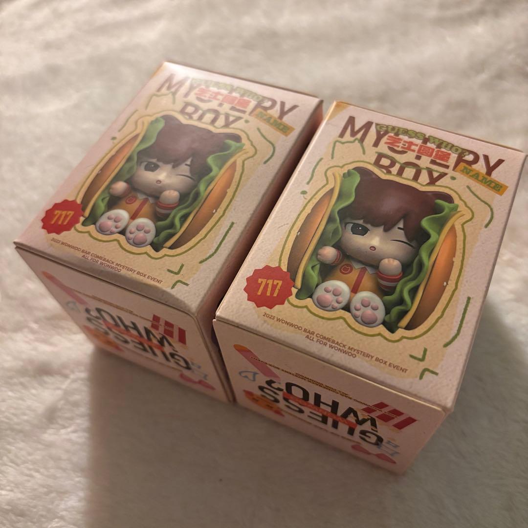 ウォヌ マスター フィギュア