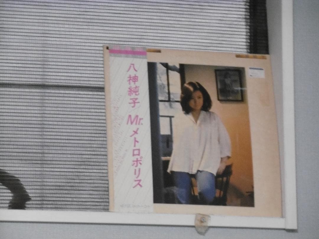 【RQ55】Panasonic LUMIX FX DMC-FX90 デジカメ