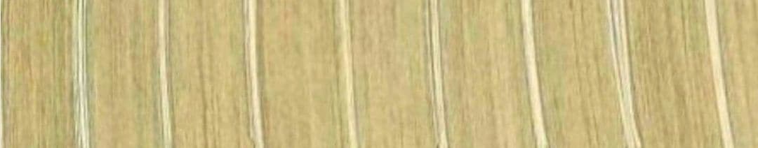 ハイキュー全巻セット関連本11冊付き　排球極あり！