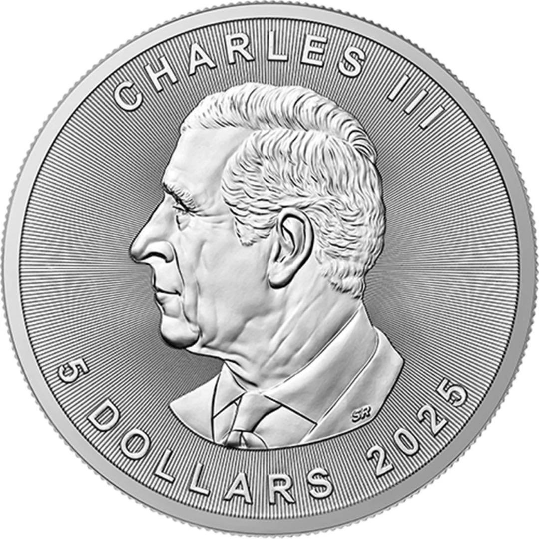 メイプルリーフ 銀貨 カラー ハロウィンナイト 黒台座付き 1オンス 1oz