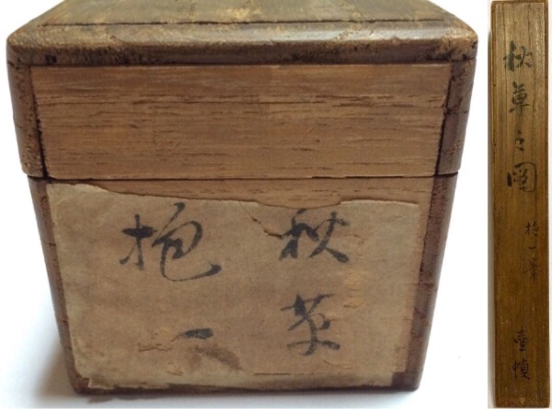 模写　酒井抱一 『秋草之図』 /掛軸 肉筆 時代箱　日本画