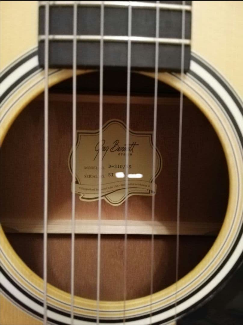 Greg Bennett D-310　アコースティック・ギター　アコギ