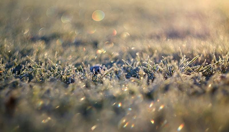 55　未使用　取説　純正ケース付ぐるぐるボケレンズ　 ヘリオス　44-2　M42