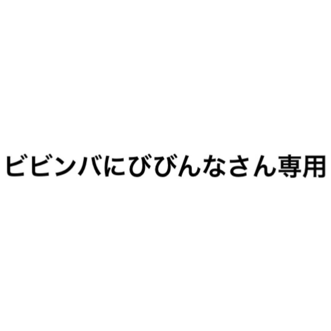 ビビンバにびびんなさん専用 Soundcore Space One