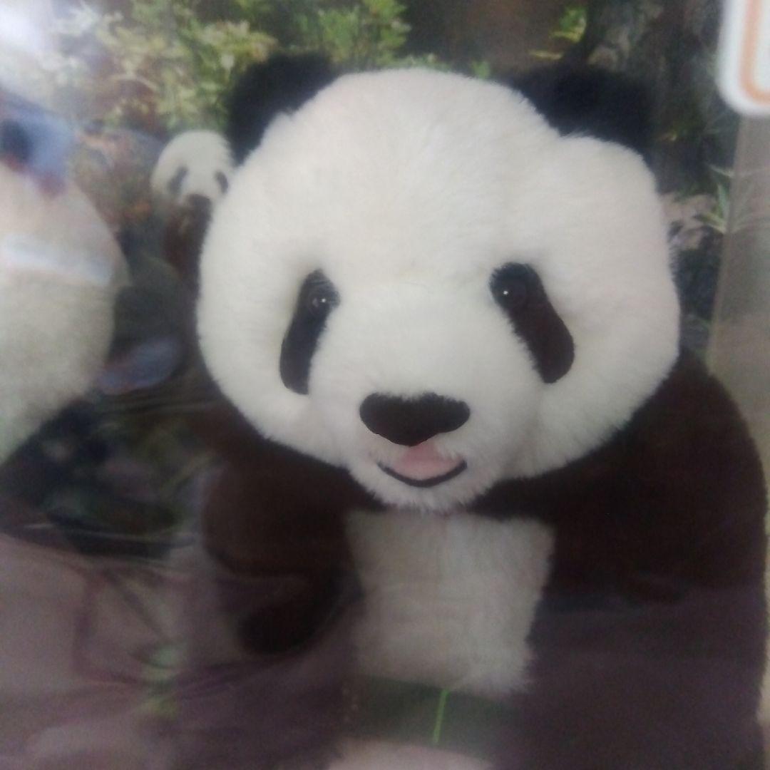 上野動物園　シャオシャオ　レイレイ　ぬいぐるみ