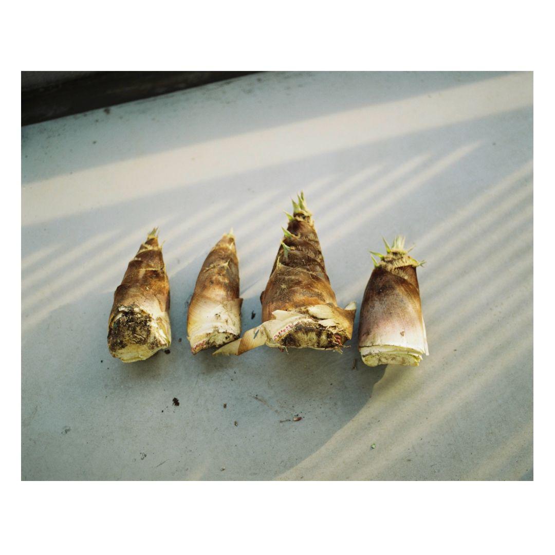 PENTAX67ボディ ＋ レンズ90mm F2.8セット