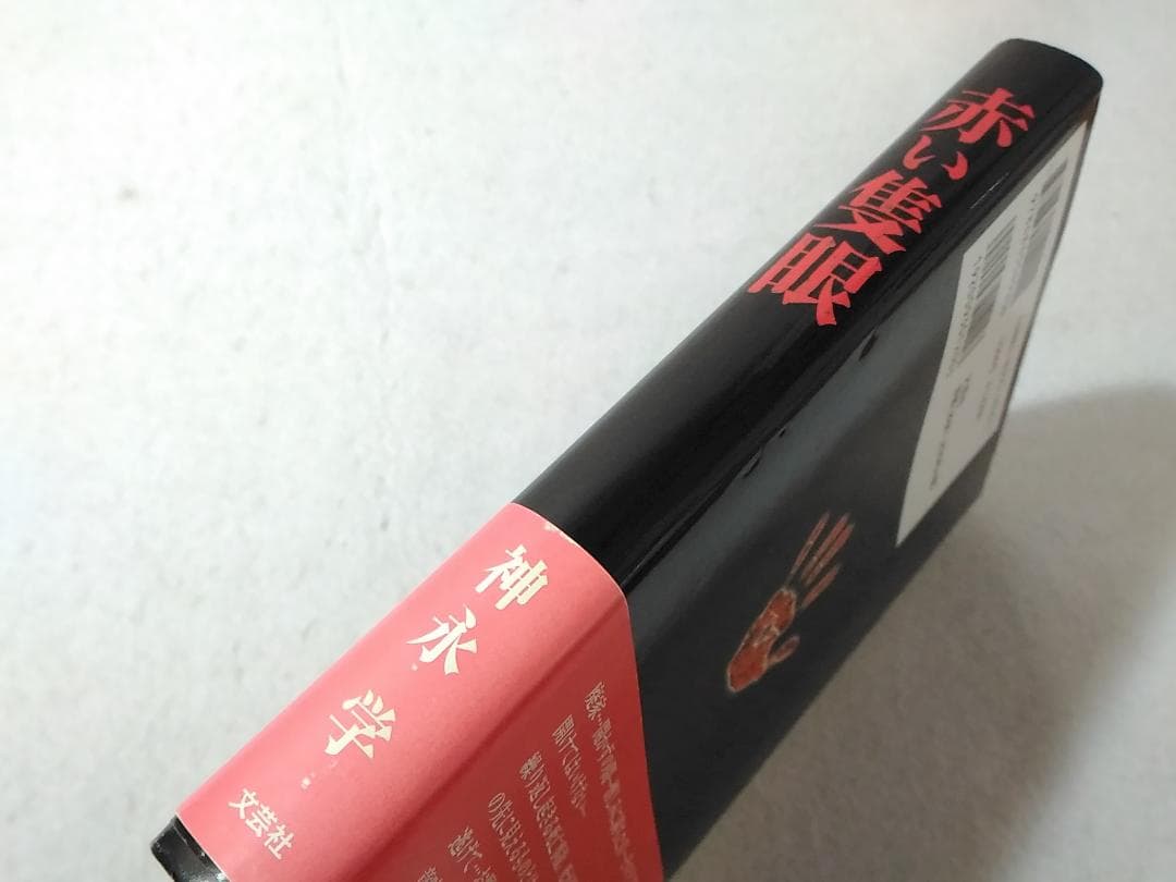 赤い隻眼 神永学 新感覚ミステリー小説 文芸社