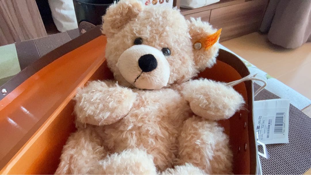 ドイツで購入⭐️Steiff Fynn teddybarぬいぐるみ ベージュ