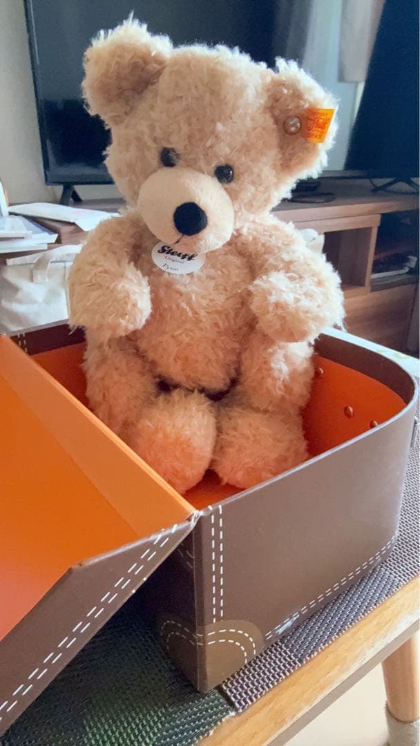 ドイツで購入⭐️Steiff Fynn teddybarぬいぐるみ ベージュ