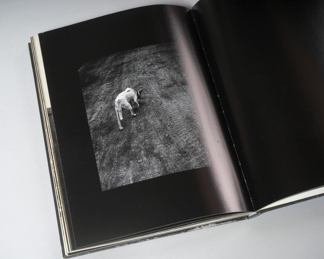 杉野安写真集 心蝕風景