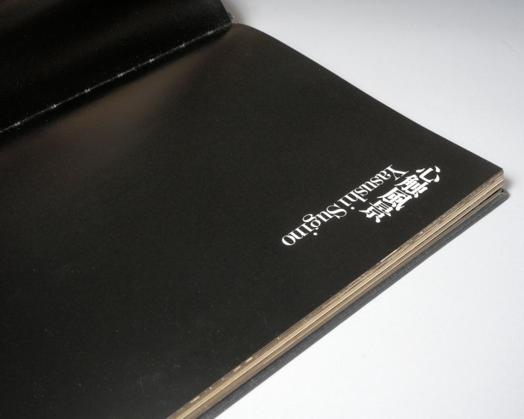 杉野安写真集 心蝕風景