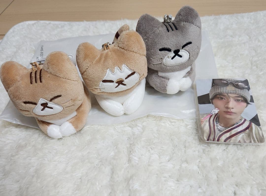 Straykids スキズ リノ dominATE celebrATEメンプロ