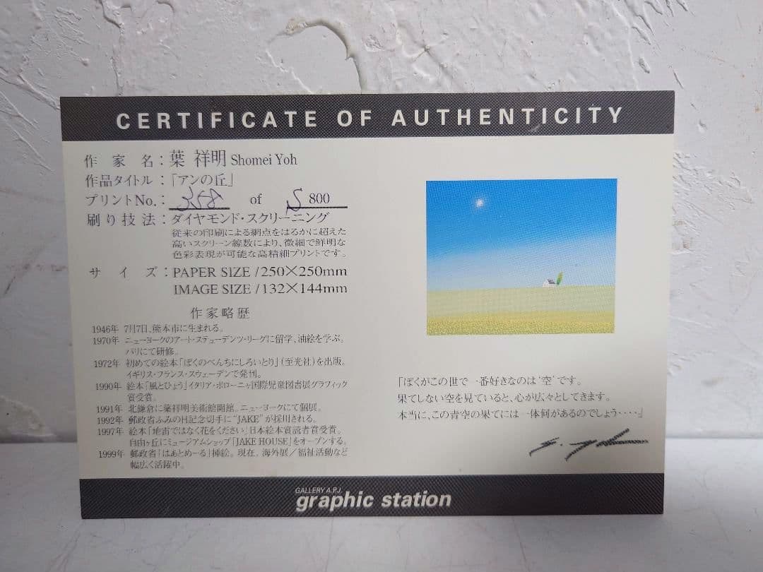 葉 祥明 アンの丘 358/S800 壁掛け リトグラフ アート