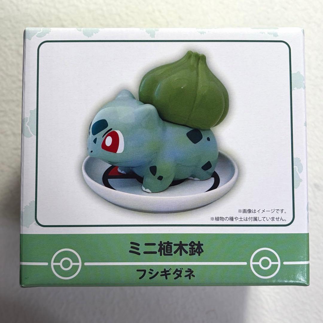 ポケモン ミニ植木鉢 フシギダネ