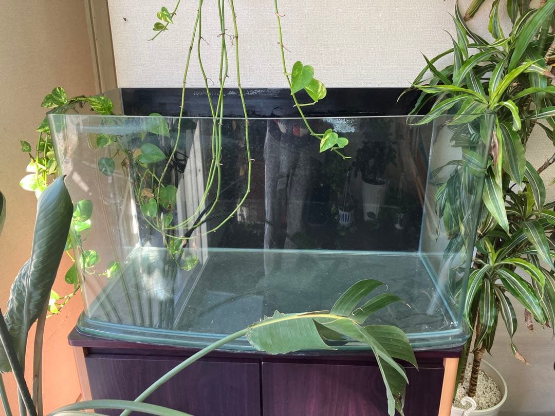 かずさん専用 AQUA SYSTEM ルノアール900