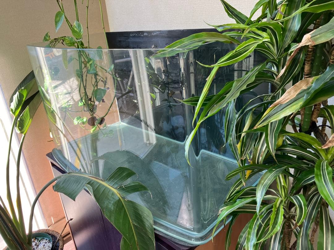 かずさん専用 AQUA SYSTEM ルノアール900