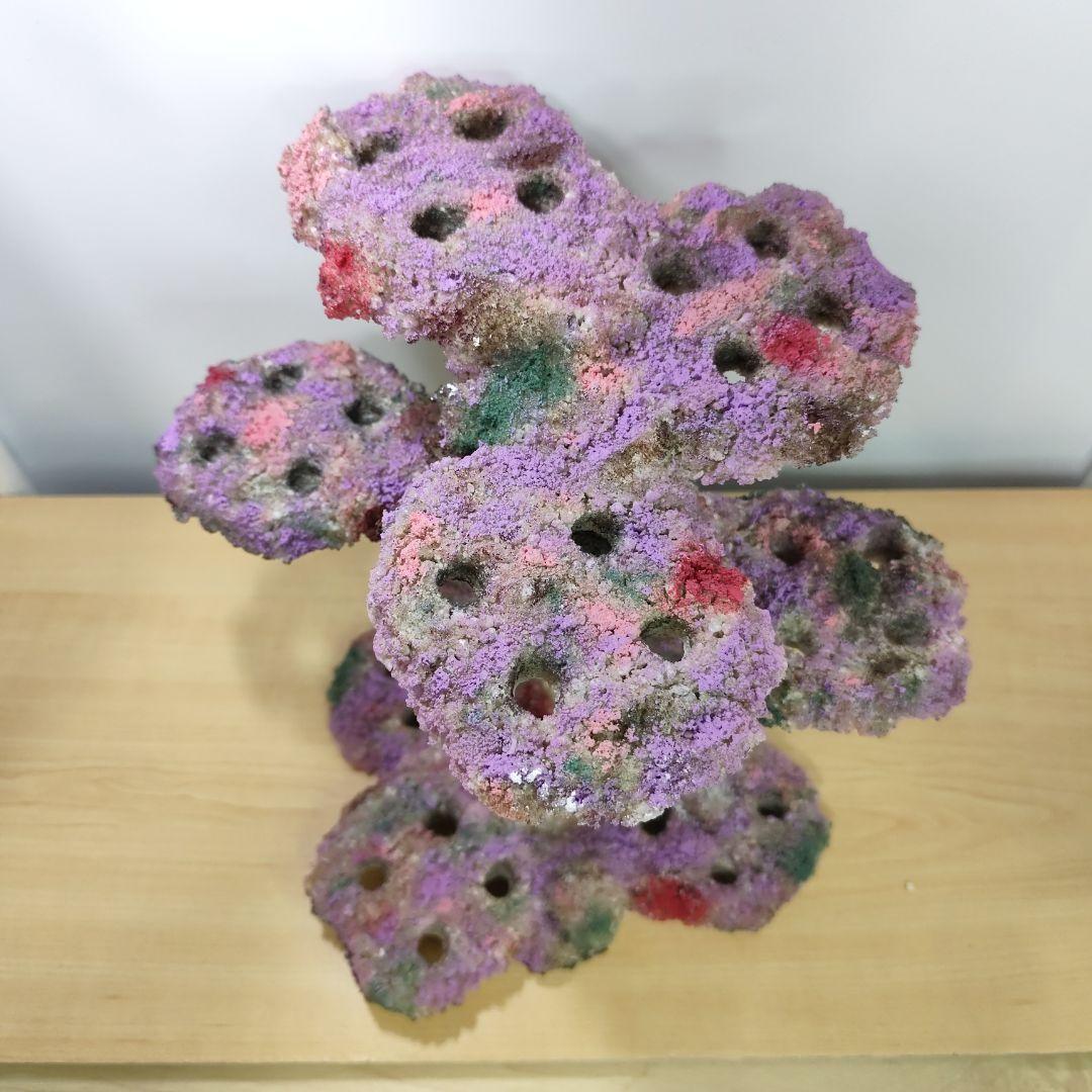 プラグ穴付き アク抜き不要人工ライブロック 海水水槽用 レプリカ コーラルフラグ