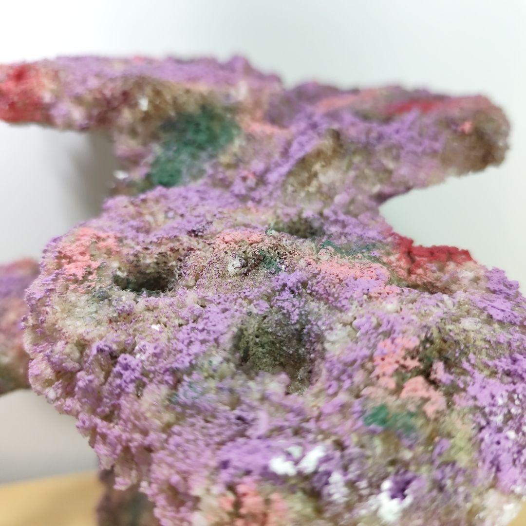 プラグ穴付き アク抜き不要人工ライブロック 海水水槽用 レプリカ コーラルフラグ