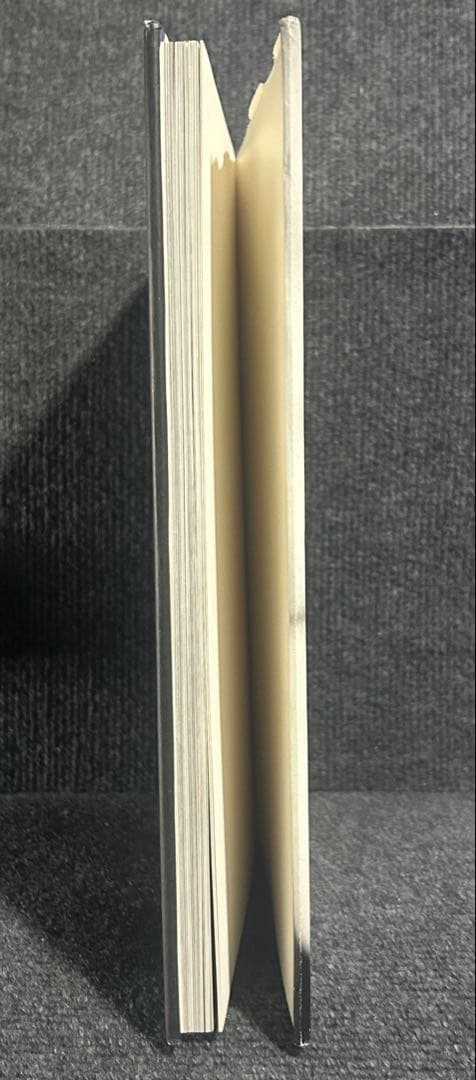 Ｓ.takaoka写真集 新品プリント袋入り