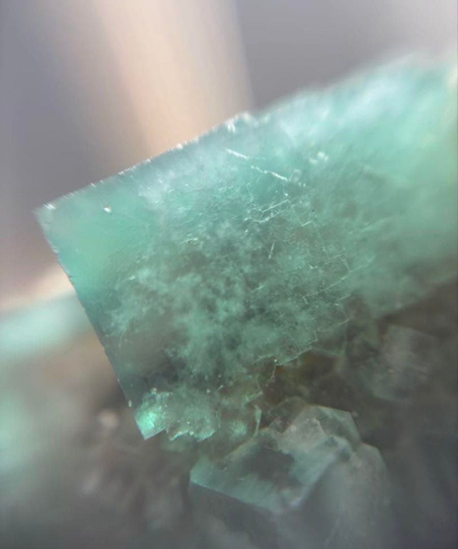 k*g様 レディアナベラ　toxic apple pocket フローライト　レ