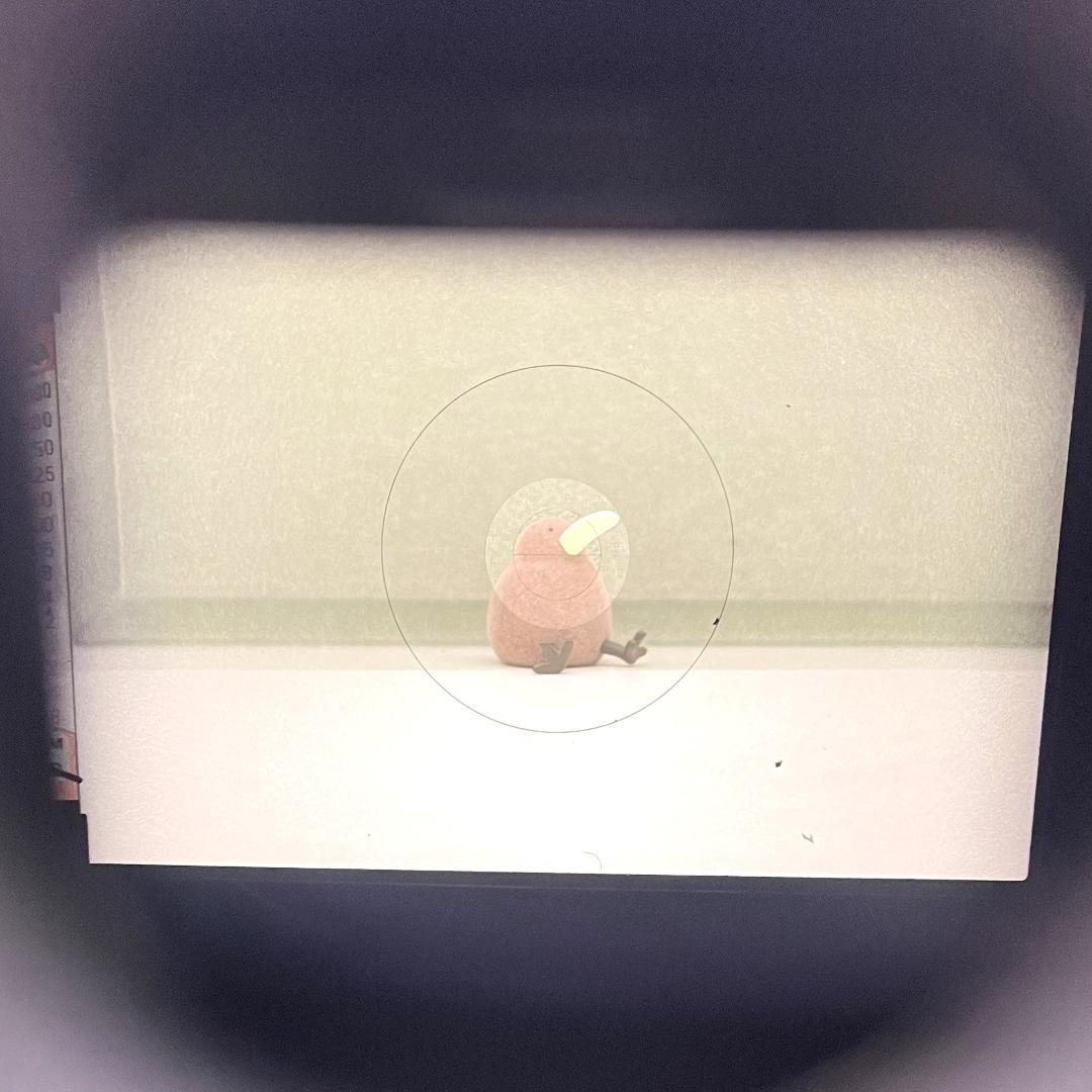 NIKON ニコン FE シルバーボディ レンズ35mm/1:2 レンズ付き