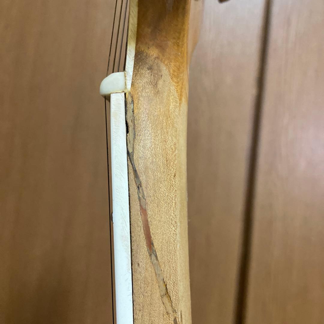 フルアコ 日本製　海外輸出モデル Epiphone NVJ-NT