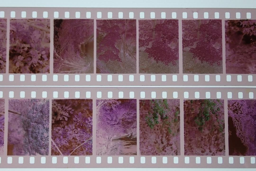 オリンパスペンD 実写済み OLYMPUS PEN D