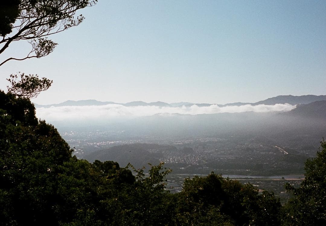 オリンパスペンD 実写済み OLYMPUS PEN D