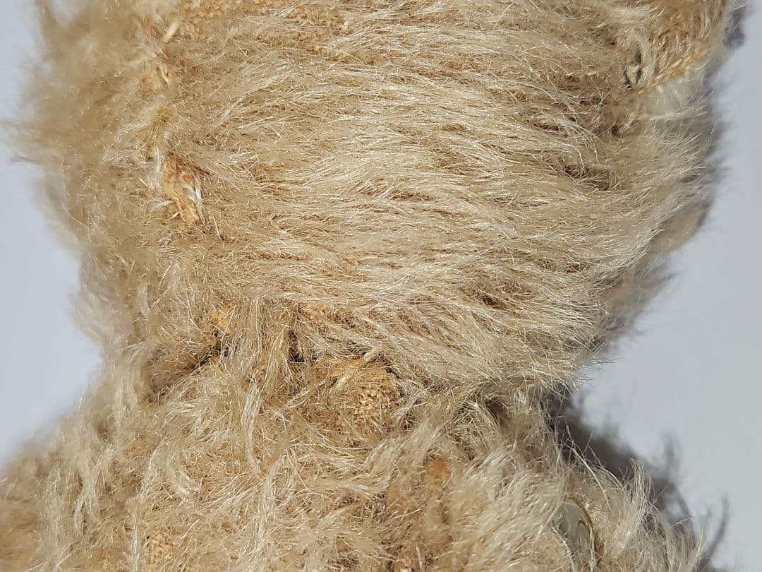 レア！ DDRベア テディベア 小ぶりなモフモフっ子 ʕ•ᴥ•ʔ