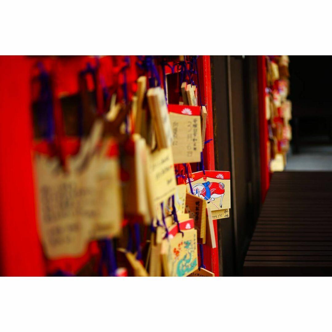 【美品/作例】Nikon AF 70-210mm f/4-5.6