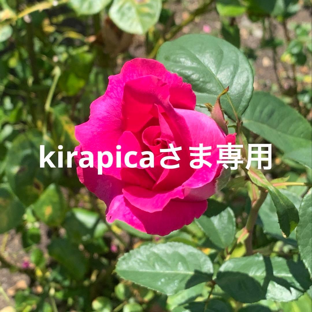 蓮紙【kirapicaさま専用】