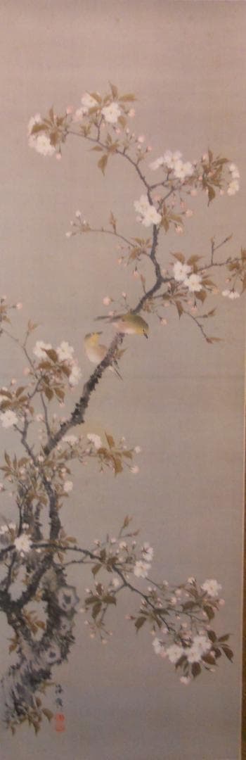 掛け軸 小田海僊 作 桜花小禽図 絹本 名品複製 逸翁美術館 茶道具 掛軸 美品
