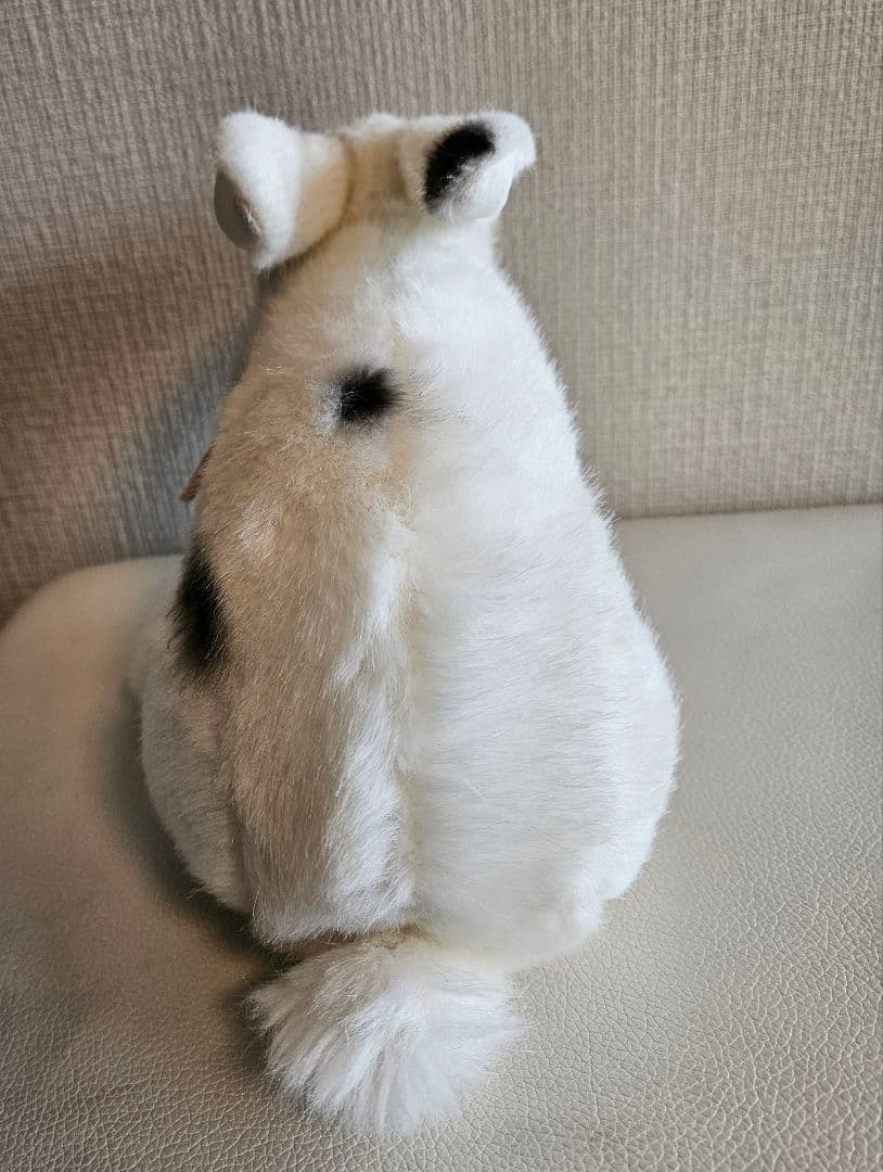 KÖSEN ウサギ　ケーセン　斑