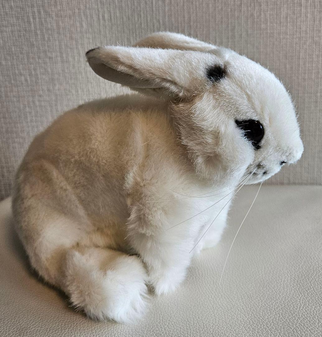 KÖSEN ウサギ　ケーセン　斑