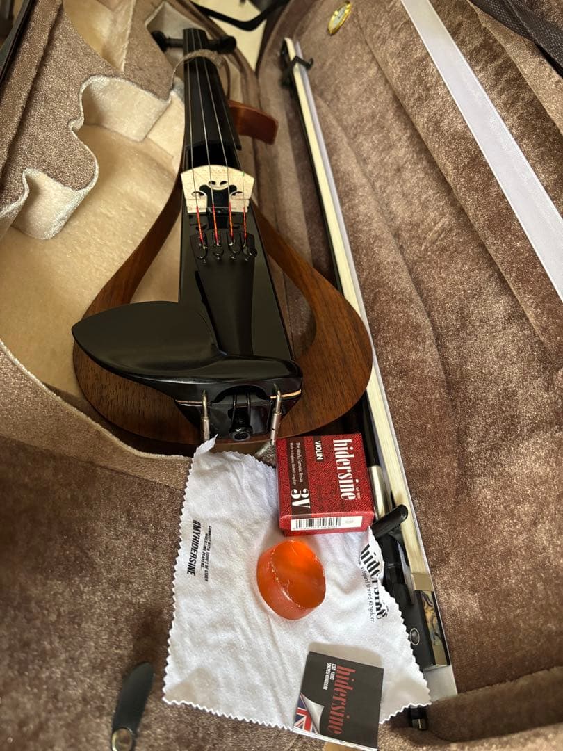 弦楽器 Electric Violin Model YEV104