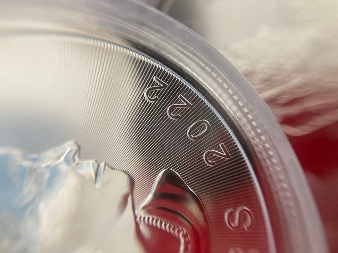 メイプルリーフ銀貨 1オンス　2022年製　5枚セット