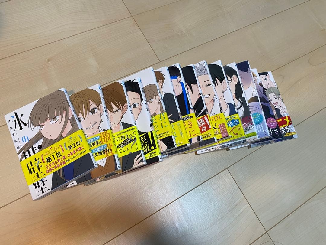 氷の城壁　1〜14巻　漫画