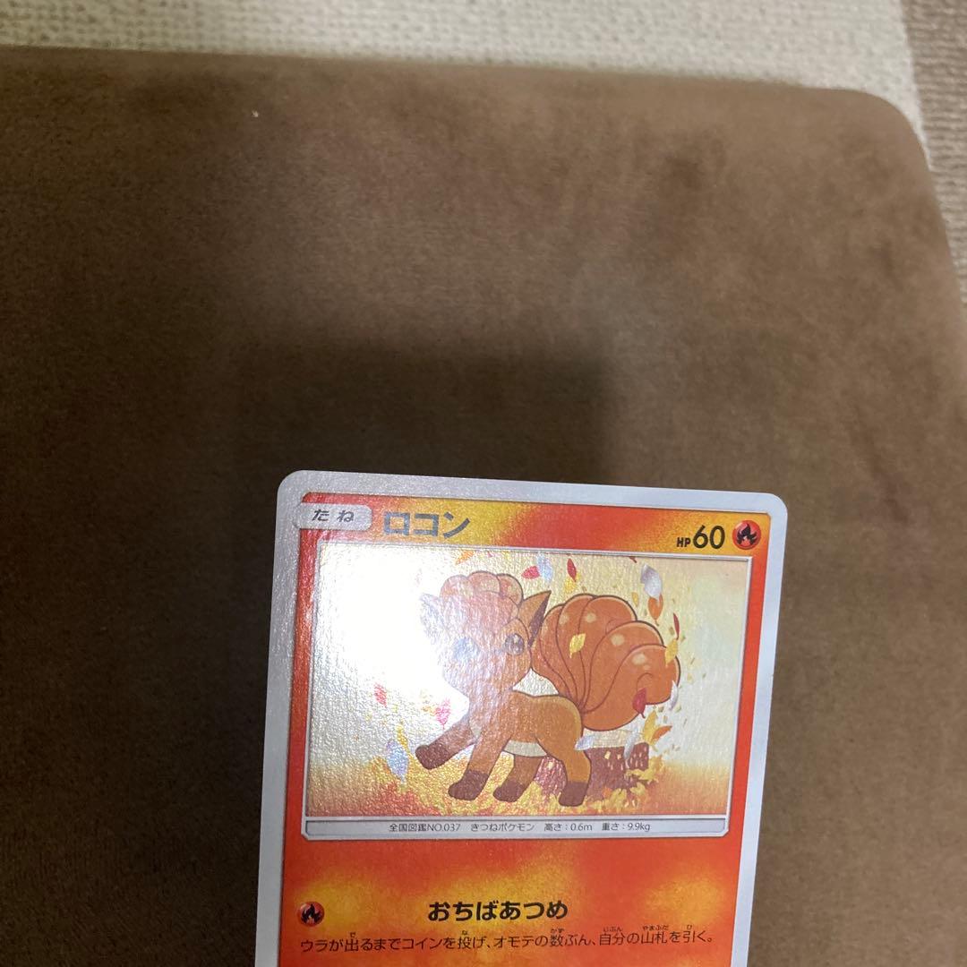 ポケモンカード ロコン PROMO SM-Pプロモカード 146/SM-P