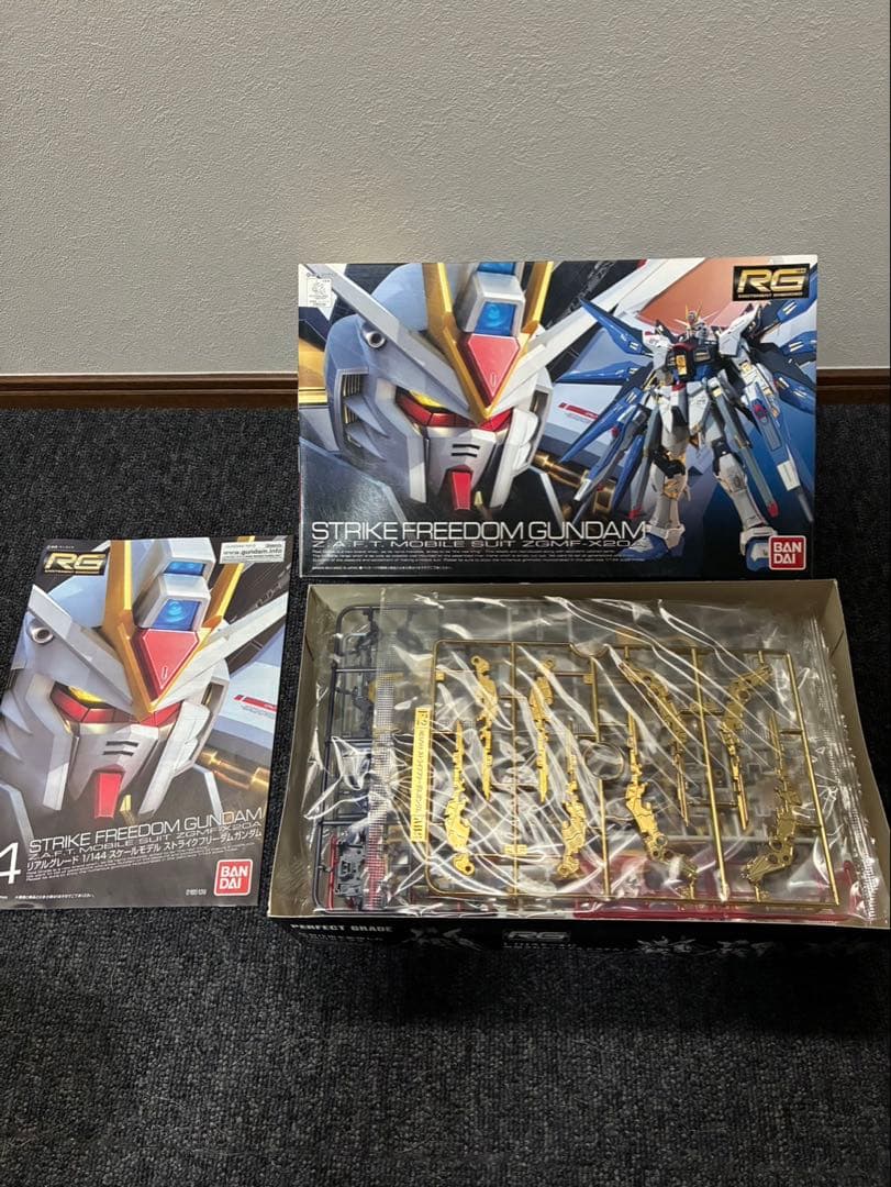 ガンプラ RG ストライクフリーダムガンダム