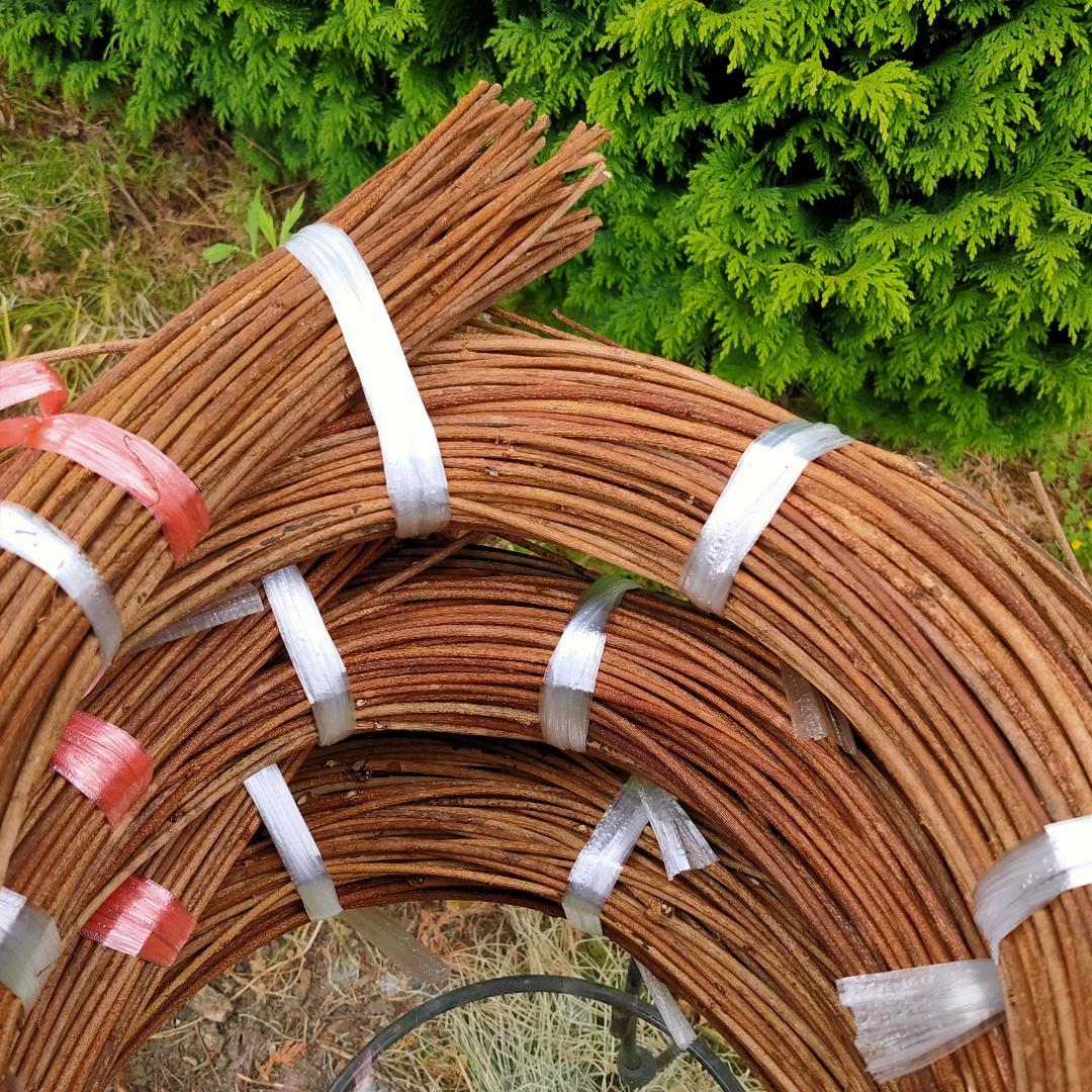 (注)青森県岩木山採取　あけび蔓　150cm～　3kg(依頼品)　2