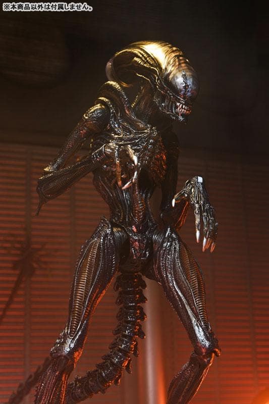 エイリアン：ロムルス/ スコーチド ゼノモーフ アルティメット NECA ネカ