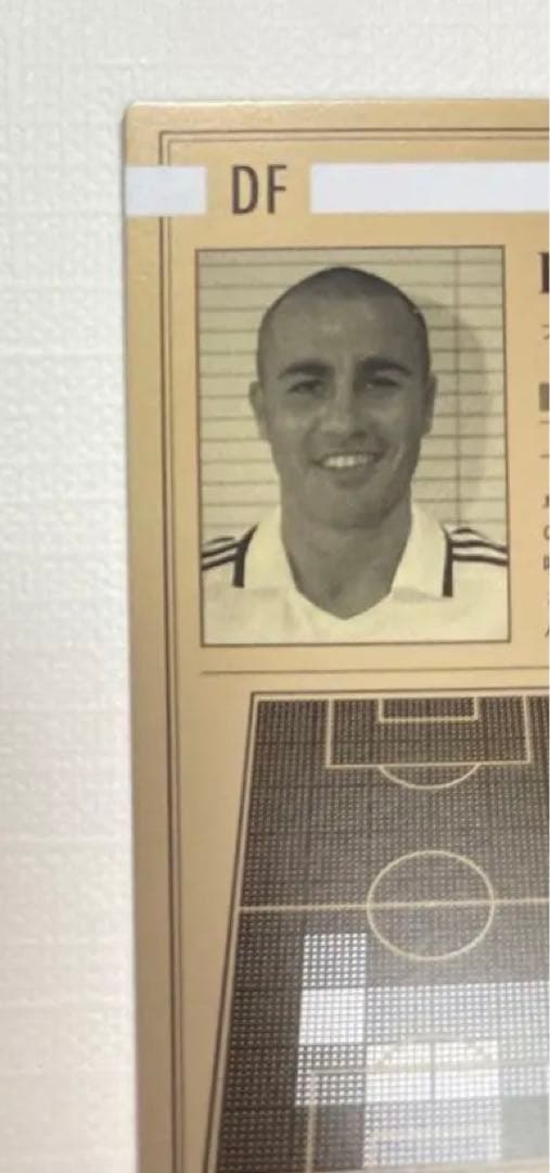 パニーニフットボールリーグ ファビオカンナバーロ