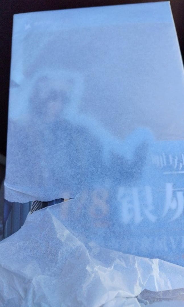 アークナイツ シルバーアッシュ ヨークの寒風Ver. 1/8 完成品フィギュア