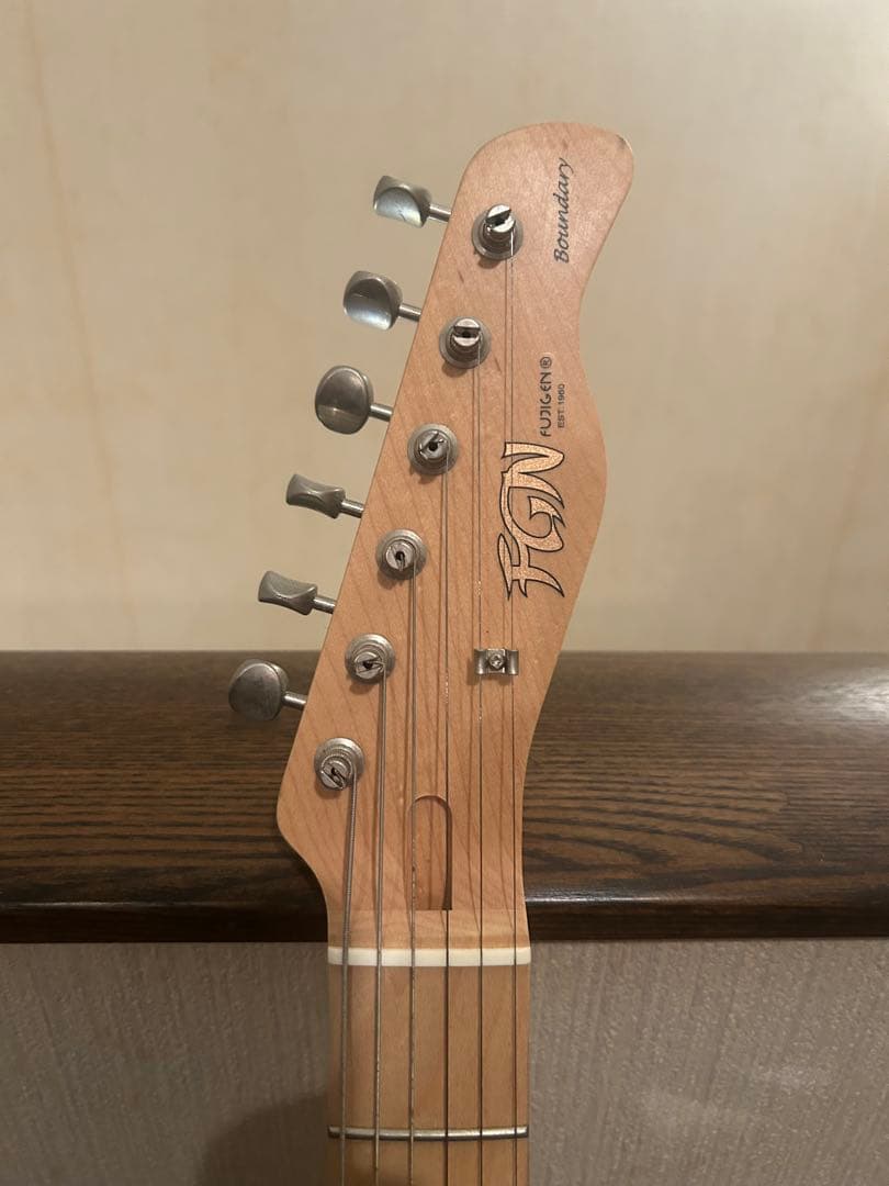 FUJIGEN テレキャス ケース付き