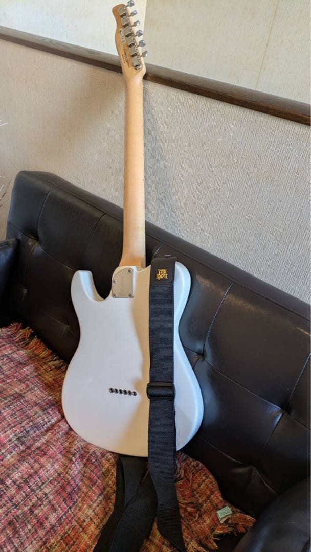 FUJIGEN テレキャス ケース付き