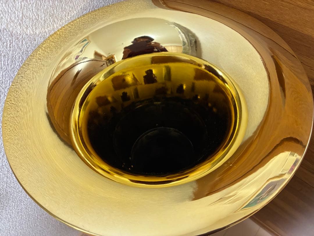 Cool Wind EU-200 GLD ゴールド (プラ製ユーフォニアム)