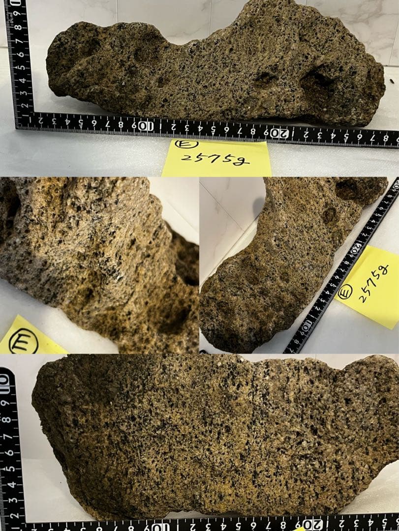 南極 南極の石 しらせ  昭和基地 南極観測船　ふじ