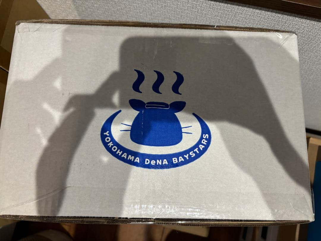 【未開封】YOKOHAMA DeNA BAYSTARSベイスターズ2026年福袋