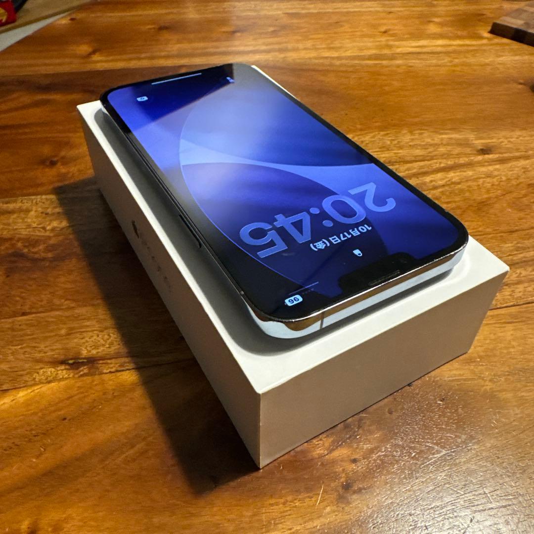 iPhone 13 pro MAX 1TB シエラブルー 国内版(17 pro)